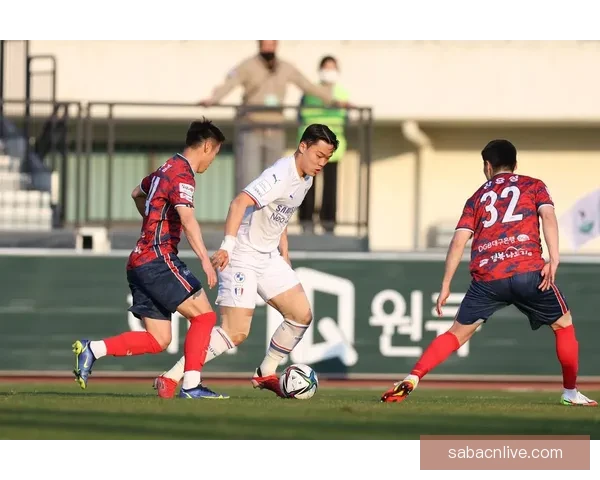 全面解析足球竞猜技巧与赔率策略助你稳健赢球